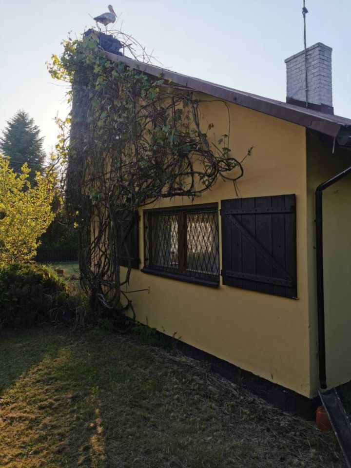 Działka rod Wolbrom. Zdjęcie 7