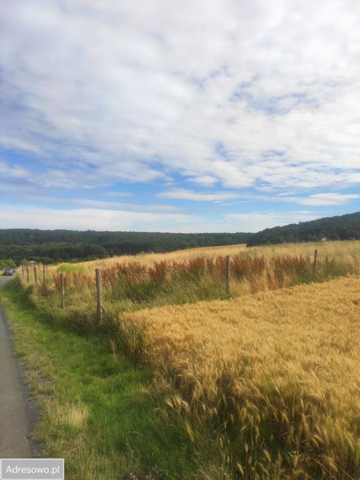 Działka budowlana Myślinów. Zdjęcie 7