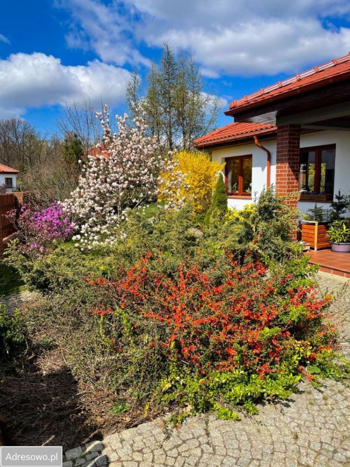 dom wolnostojący, 4 pokoje Wrocław Marszowice. Zdjęcie 13