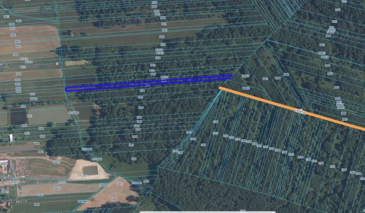 Działka leśna Nowe Groszki