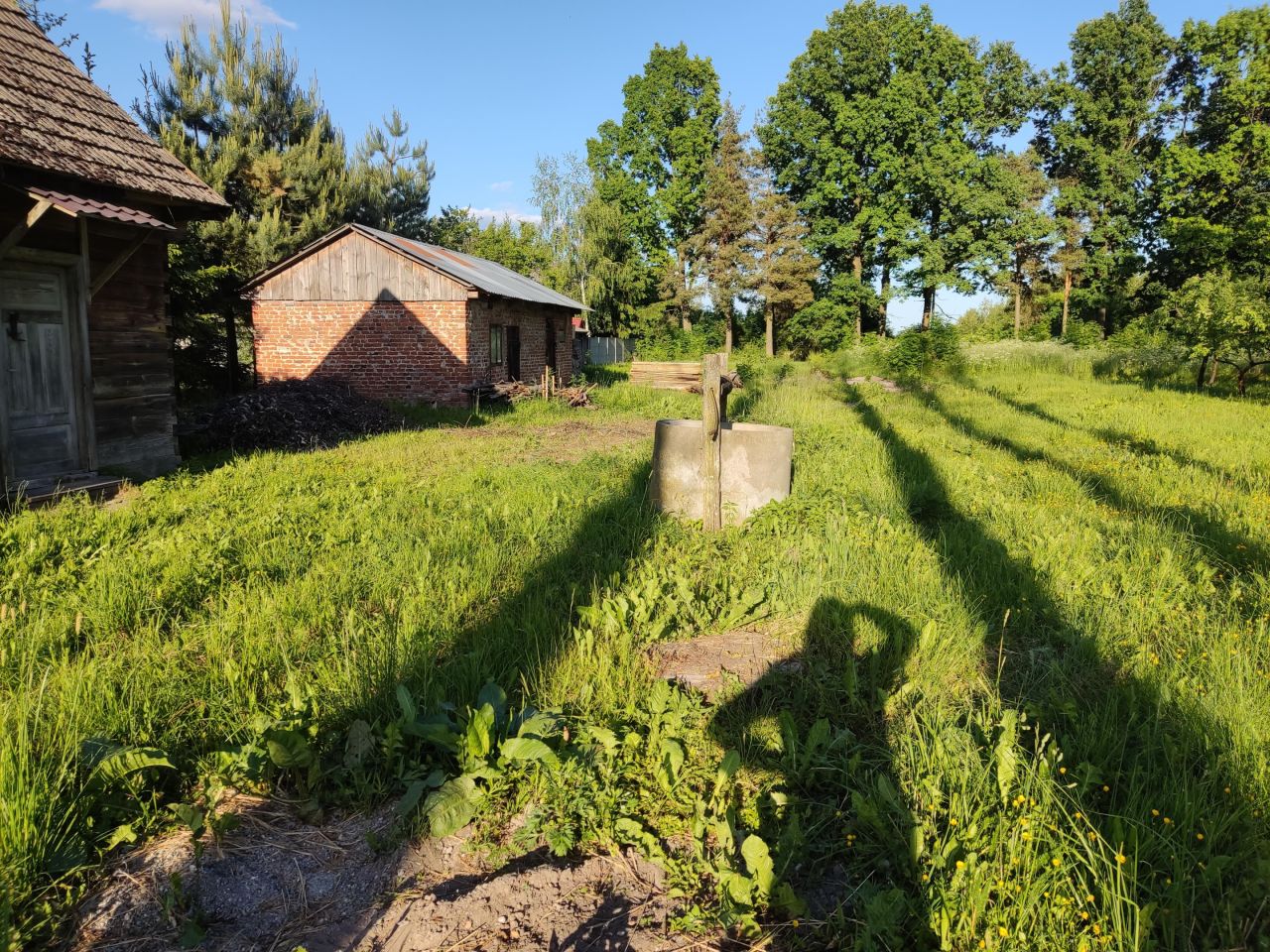 Działka rolno-budowlana Wygoda. Zdjęcie 2