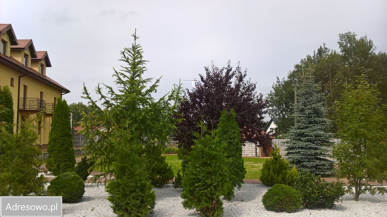 Hotel/pensjonat Działy Czarnowskie. Zdjęcie 9