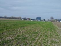 Działka rolno-budowlana Rejna