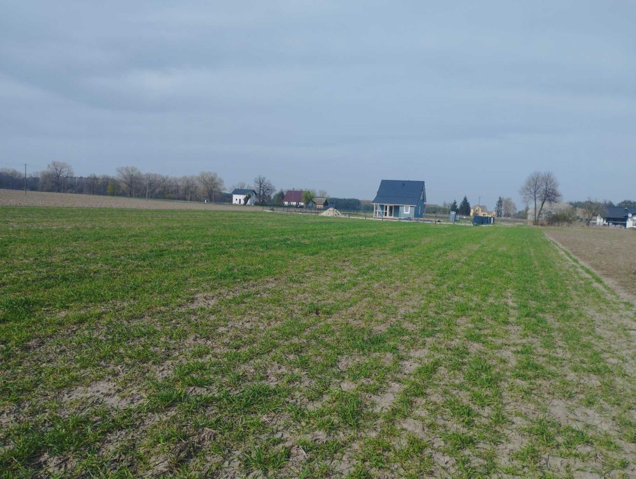 Działka rolno-budowlana Rejna