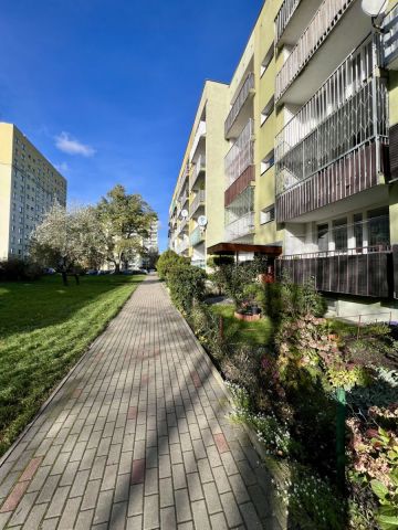 Mieszkanie 2-pokojowe Łódź Chojny, ul. Strzelecka. Zdjęcie 11