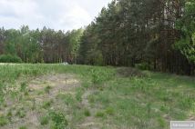 Działka rolna Pstrągi-Gniewoty. Zdjęcie 1