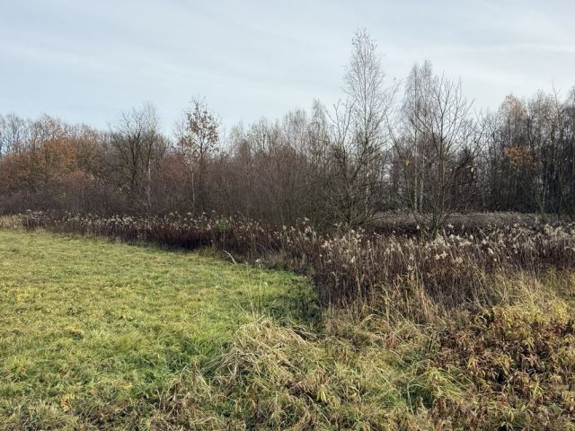 Działka rolno-budowlana Przeginia Narodowa, ul. Za Tamą. Zdjęcie 1