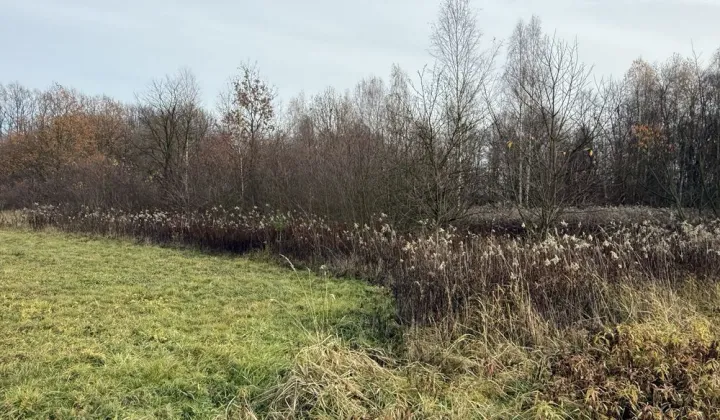 Działka rolno-budowlana Przeginia Narodowa, ul. Za Tamą