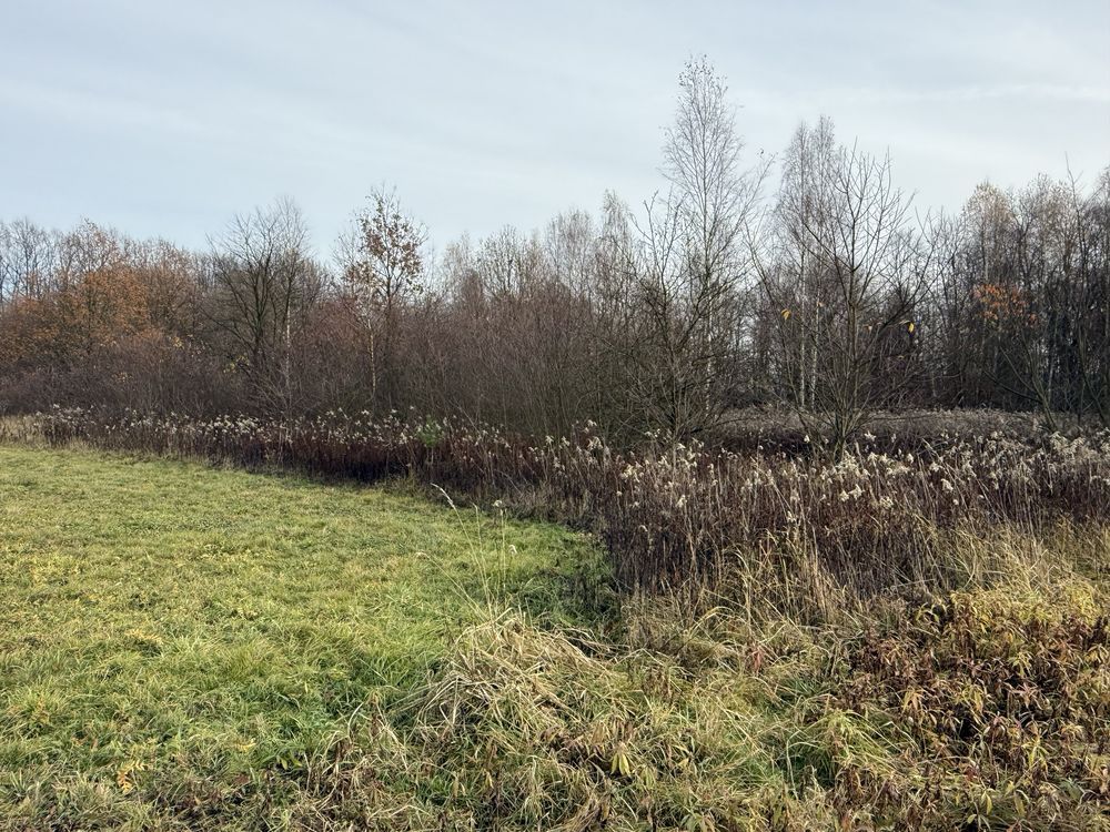 Działka rolno-budowlana Przeginia Narodowa, ul. Za Tamą. Zdjęcie 1