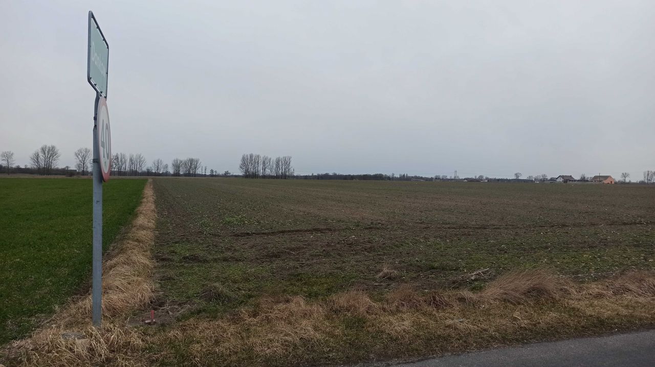 Działka budowlana Danków A. Zdjęcie 2