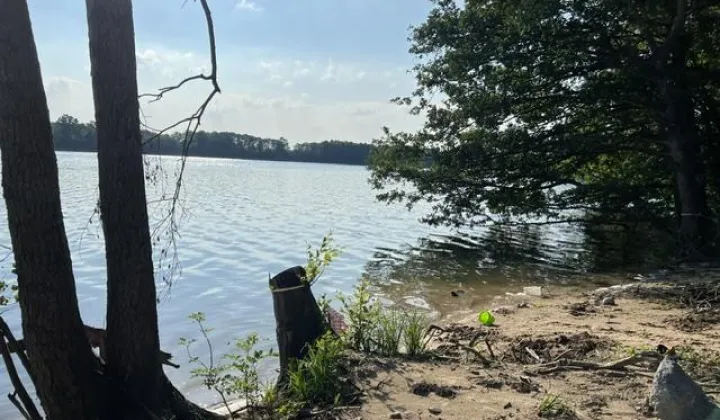 Działka rekreacyjna Wola
