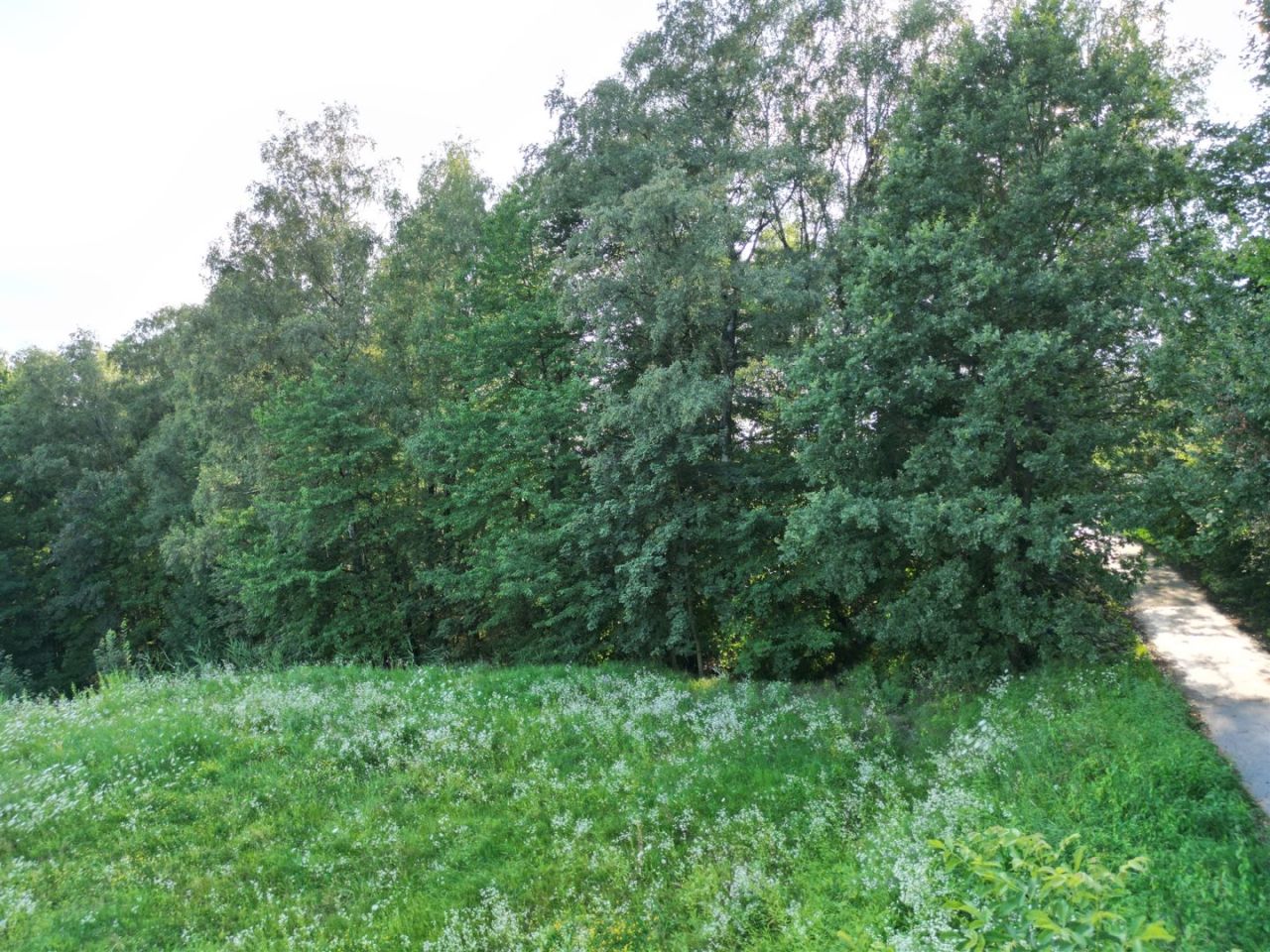 Działka budowlana Olszowice, ul. Olszynowa. Zdjęcie 3