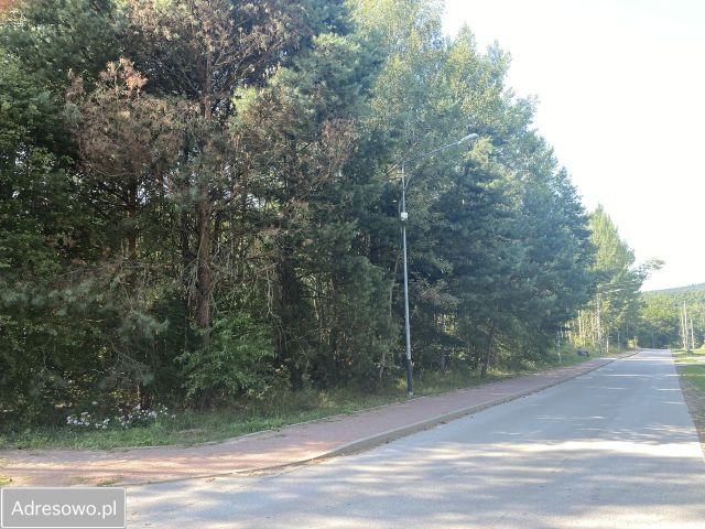 Działka rolna Zagnańsk. Zdjęcie 1