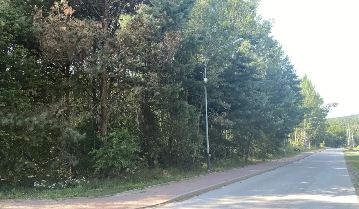 Działka rolna Zagnańsk