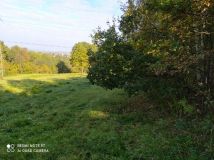 Działka rekreacyjna Buków. Zdjęcie 3