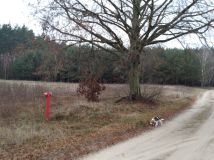 Działka Budy Lucieńskie. Zdjęcie 2