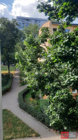 Mieszkanie 2-pokojowe Warszawa Bielany, ul. Antyczna. Zdjęcie 12