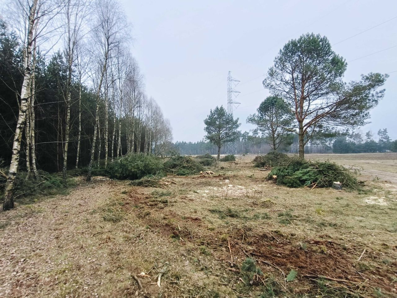 Działka inna Huta. Zdjęcie 1