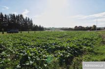 Działka budowlana Zemborzyce Dolne