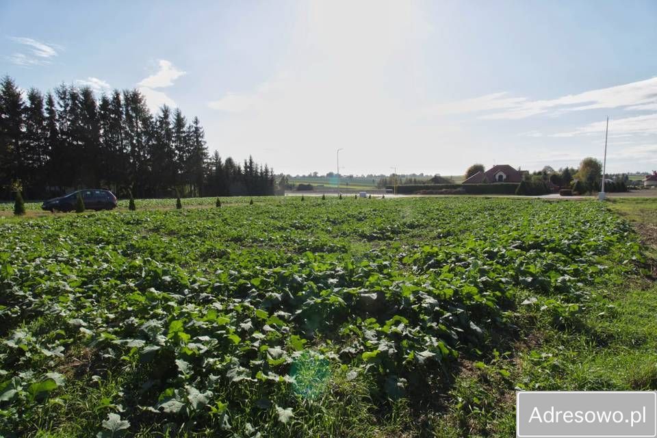 Działka budowlana Zemborzyce Dolne