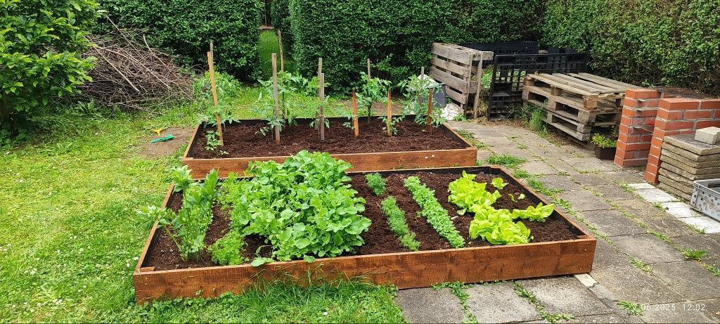 Działka rod Legnica. Zdjęcie 7