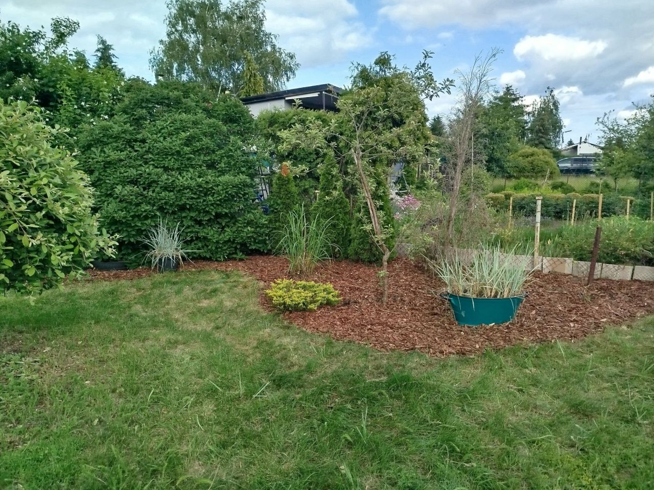 Działka rod Toruń Rudak. Zdjęcie 5