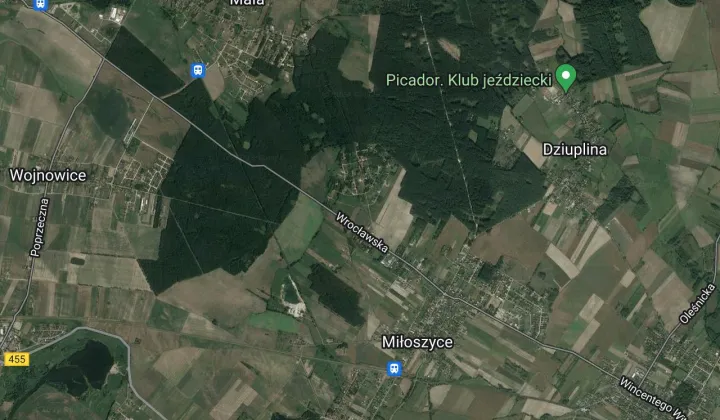 Działka budowlana Dębina, ul. Klonowa