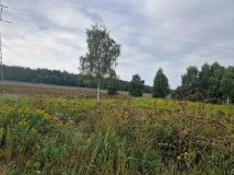 Działka inwestycyjna Kobyłka, ul. Wrzosowa. Zdjęcie 4