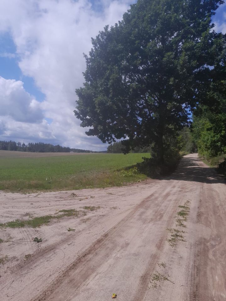 Działka budowlana Wiele Wiele-Wybudowanie. Zdjęcie 4