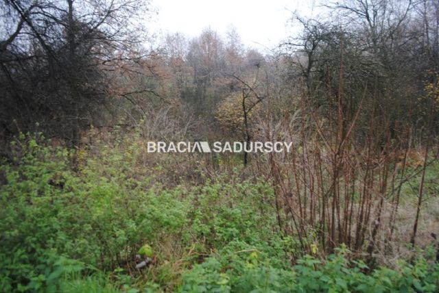 Działka rolna Libertów. Zdjęcie 4