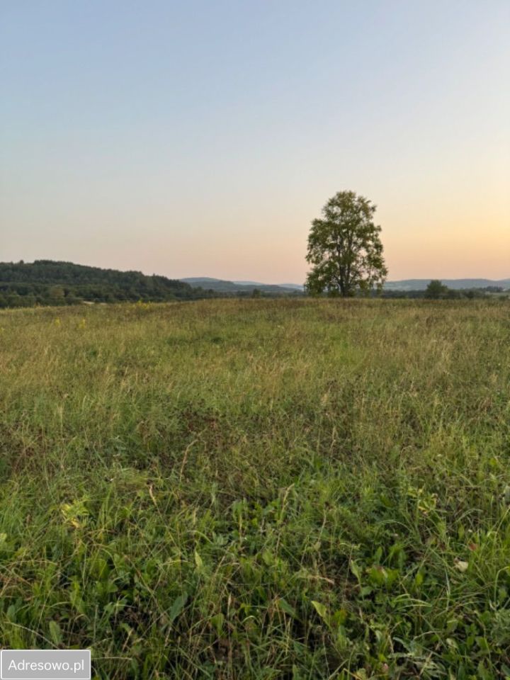 Działka budowlana Lipinki. Zdjęcie 14
