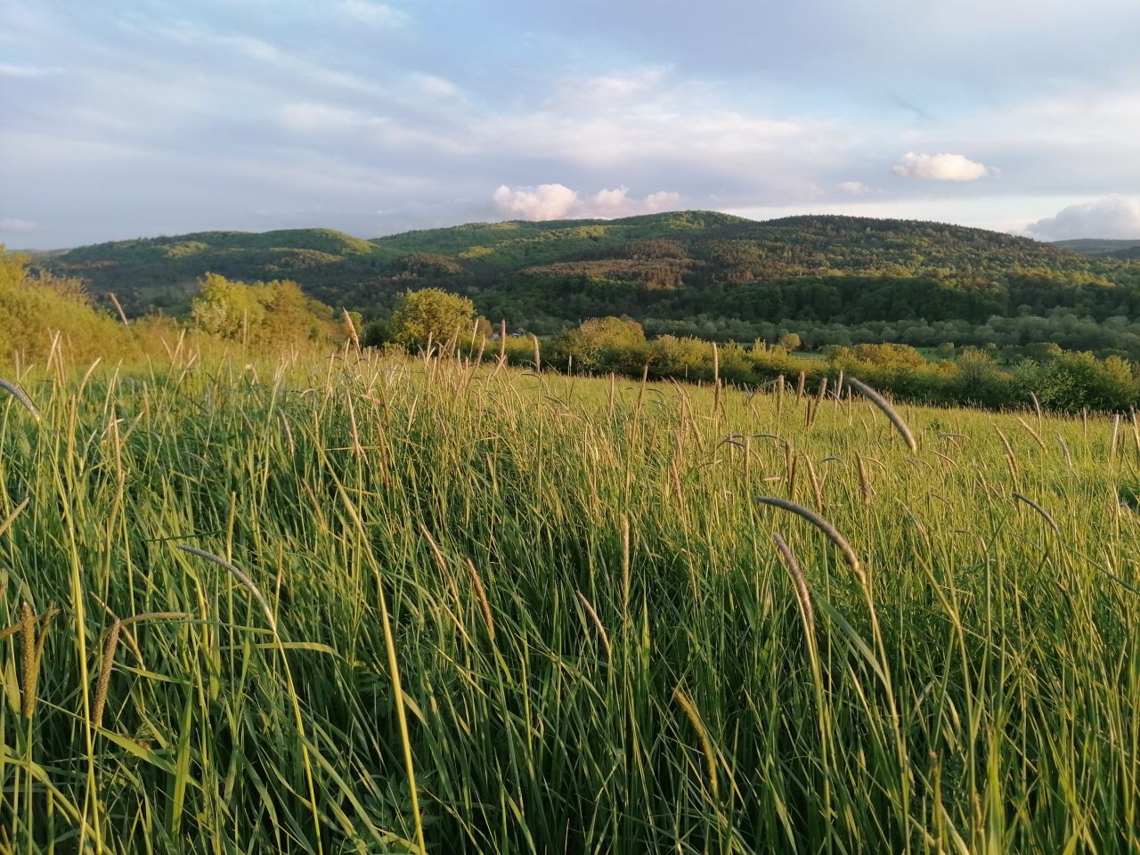 Działka rekreacyjna Rybotycze. Zdjęcie 37