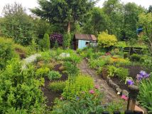 Działka rod Wałbrzych, ul. marsz. Józefa Piłsudskiego. Zdjęcie 4