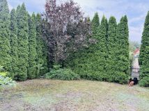 Działka rod Kajetany. Zdjęcie 3