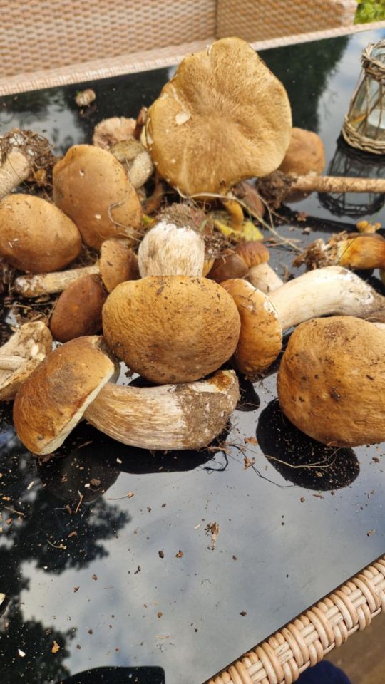 dom letniskowy, 3 pokoje Ostaszewo Nad Jeziorem. Zdjęcie 5