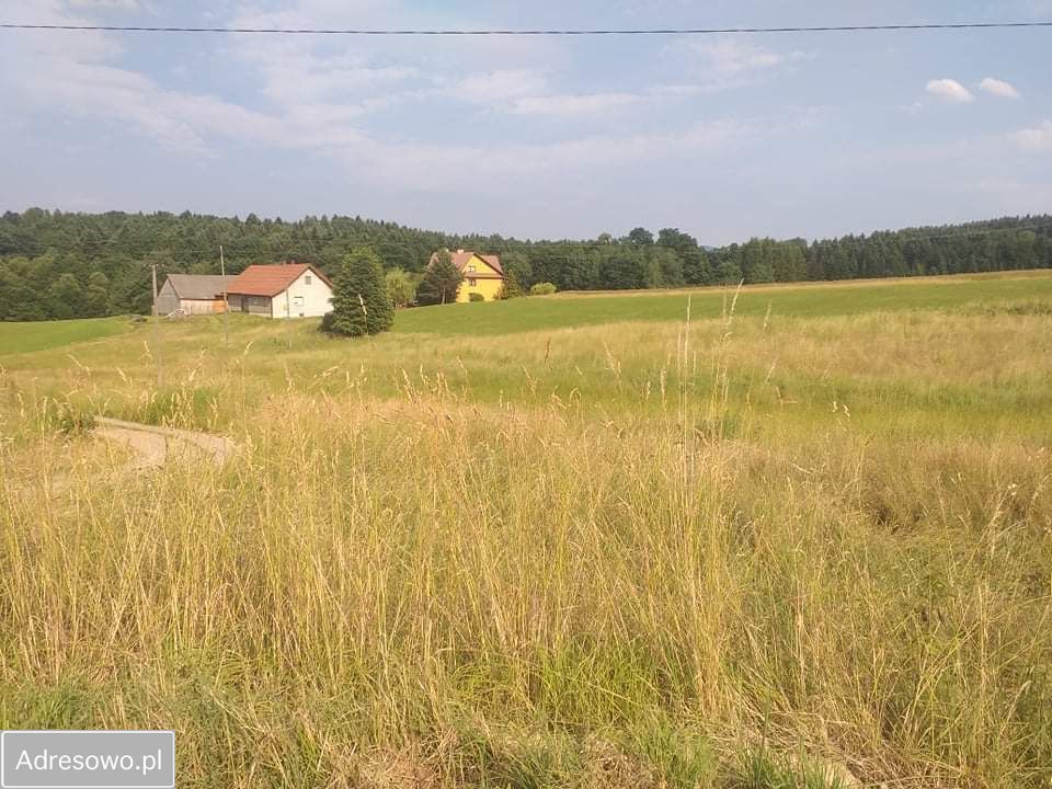 Działka budowlana Kępanów. Zdjęcie 1