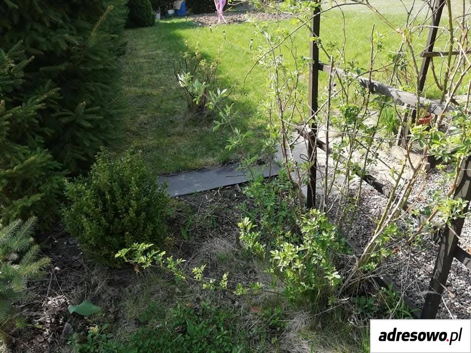 Działka rod Bartoszki. Zdjęcie 8