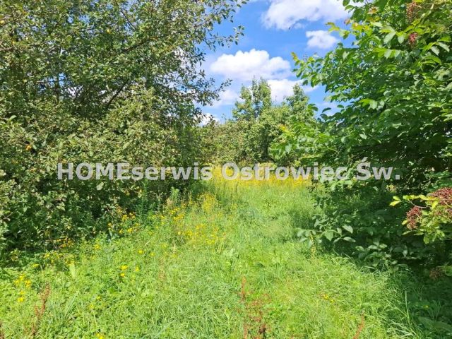 Działka rolno-budowlana Osówka. Zdjęcie 13