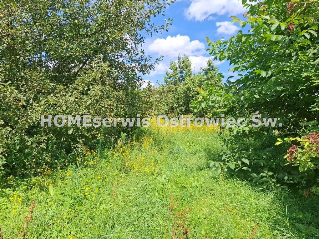 Działka rolno-budowlana Osówka. Zdjęcie 13