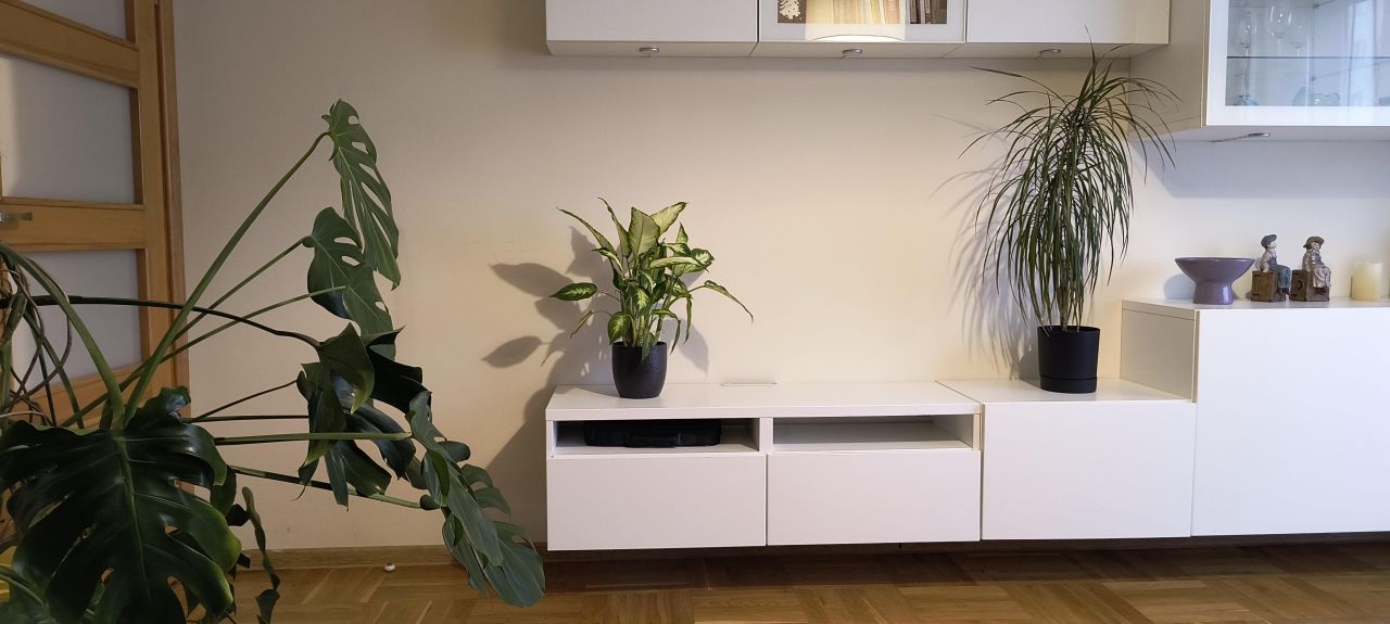 Mieszkanie 2-pokojowe Sokołów Małopolski Rynek, ul. Pileckich. Zdjęcie 5