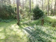 Działka rekreacyjna Beniaminów, ul. Letniskowa. Zdjęcie 1