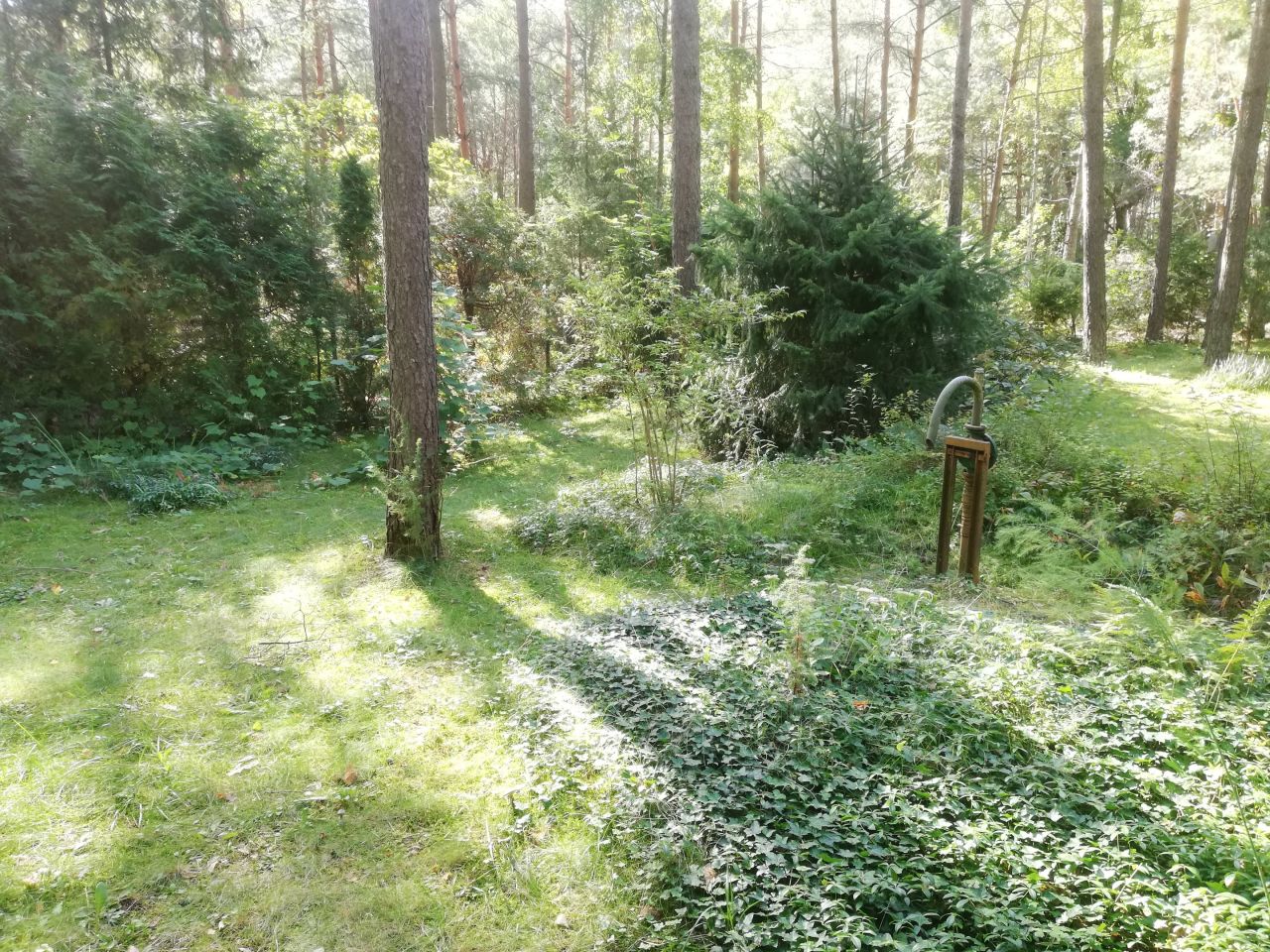 Działka rekreacyjna Beniaminów, ul. Letniskowa. Zdjęcie 2