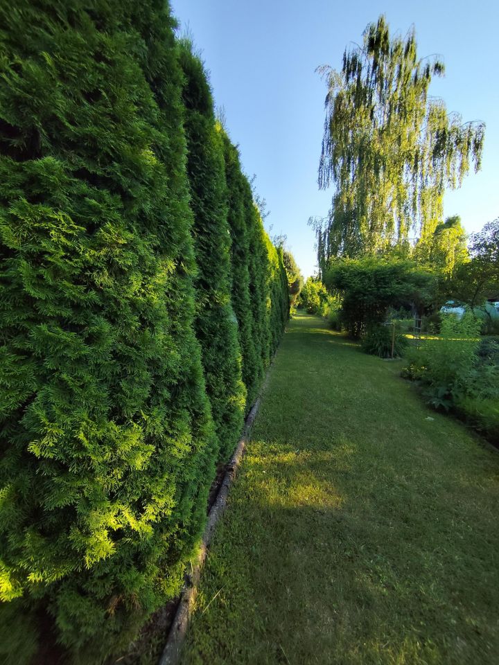 Działka rod Dąbrowica, Działkowa. Zdjęcie 7
