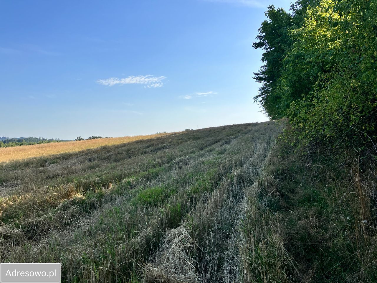 Działka budowlana Dębowina. Zdjęcie 2