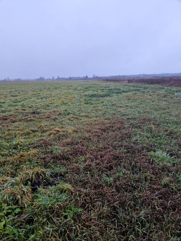 Działka rolna Kuźnica Czarnkowska. Zdjęcie 9