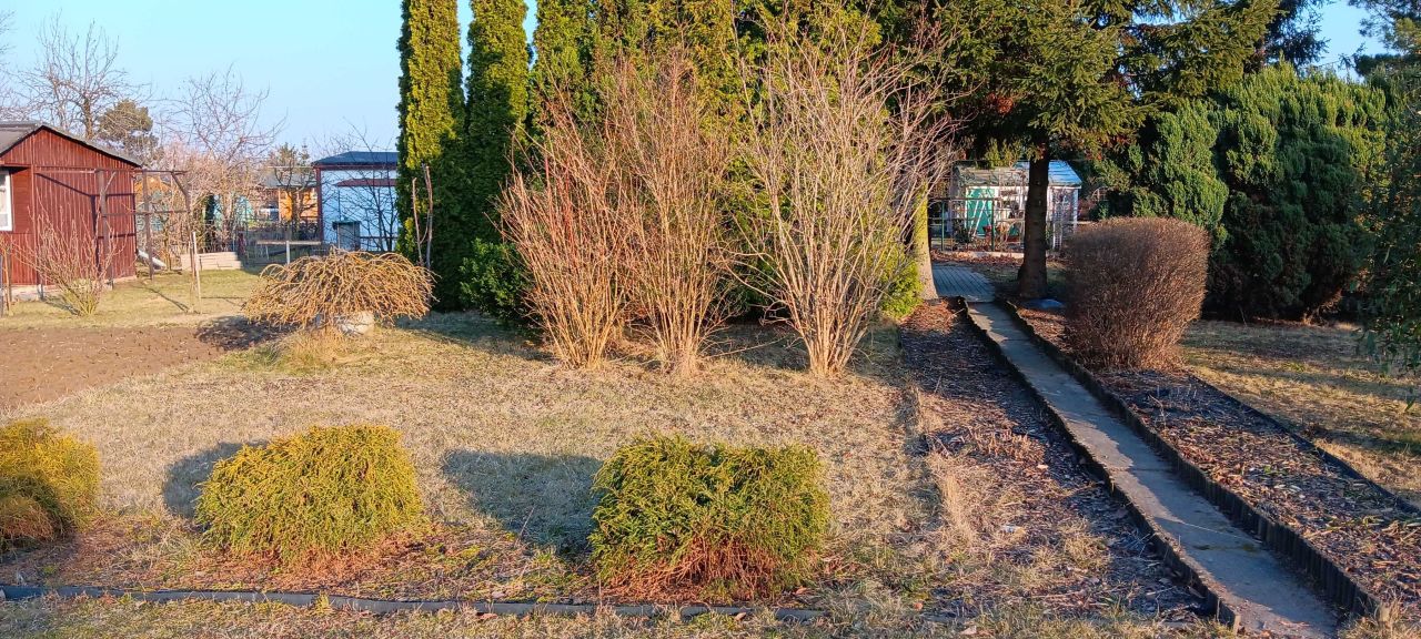 Działka rod Świdnik. Zdjęcie 2