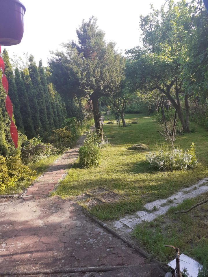 Działka rod Zielona Góra, ul. Osiedle Pomorskie. Zdjęcie 17