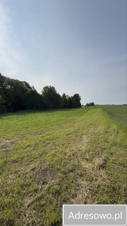 Działka budowlana Tułodziad. Zdjęcie 2