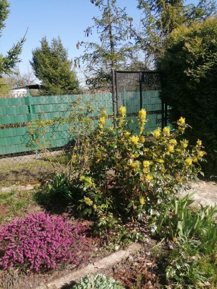 Działka rod Gliwice. Zdjęcie 4