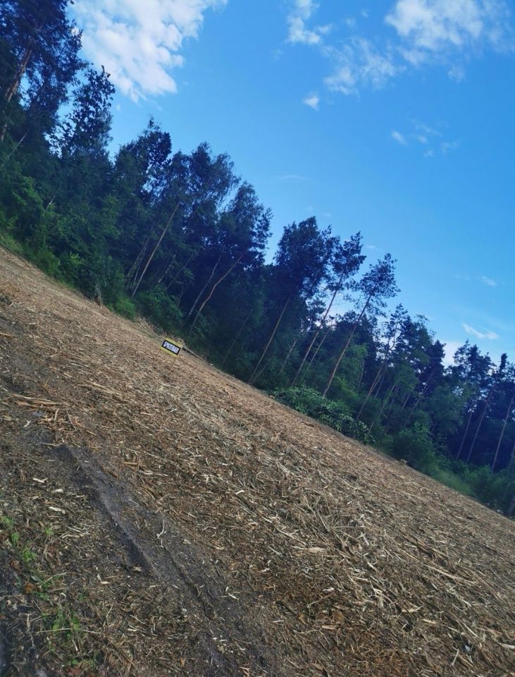 Działka Pustków Kochanówka. Zdjęcie 5